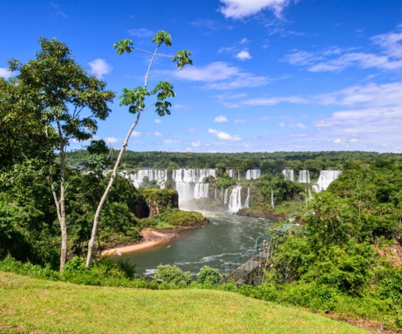 パッケージツアー　C